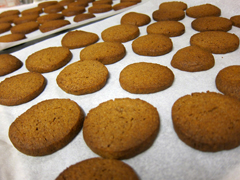 ジンジャーのアイスボックスクッキー