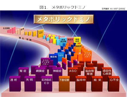 メタボリックドミノ